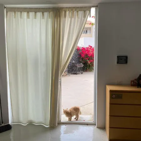 Διαμέρισμα Bungalow Tenerife South